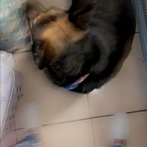 Meet your Posher, Candace